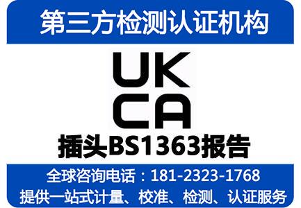 BS1363报告